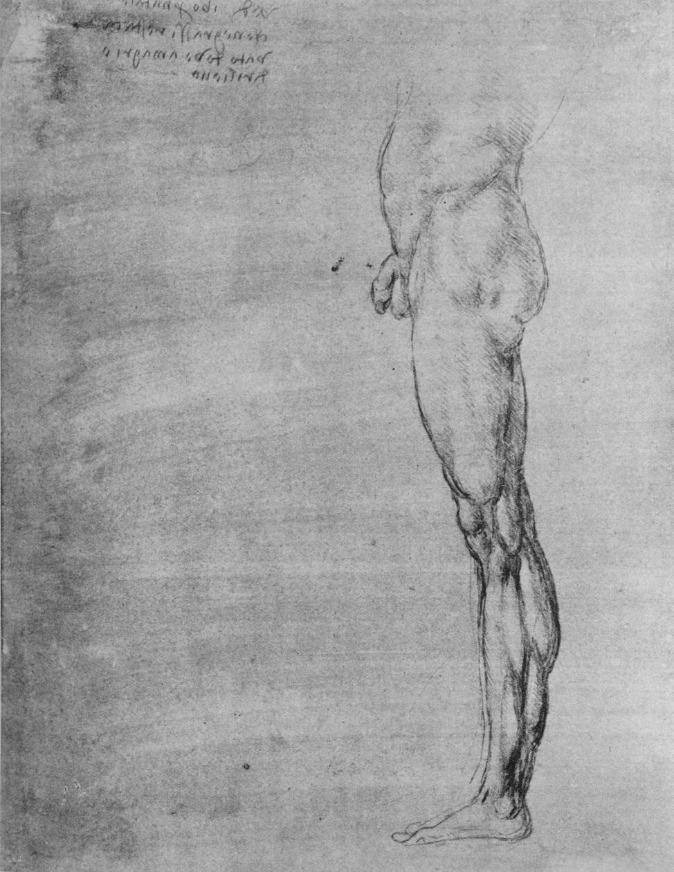 Estudo do corpo e da perna de um homem, c1480 1945 de Leonardo da Vinci