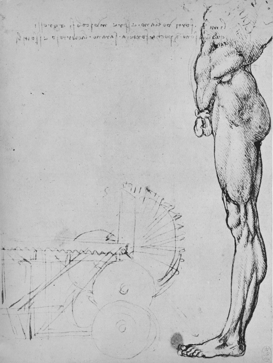 Estudo da metade inferior de um homem e de máquinas, c1480 1945 de Leonardo da Vinci