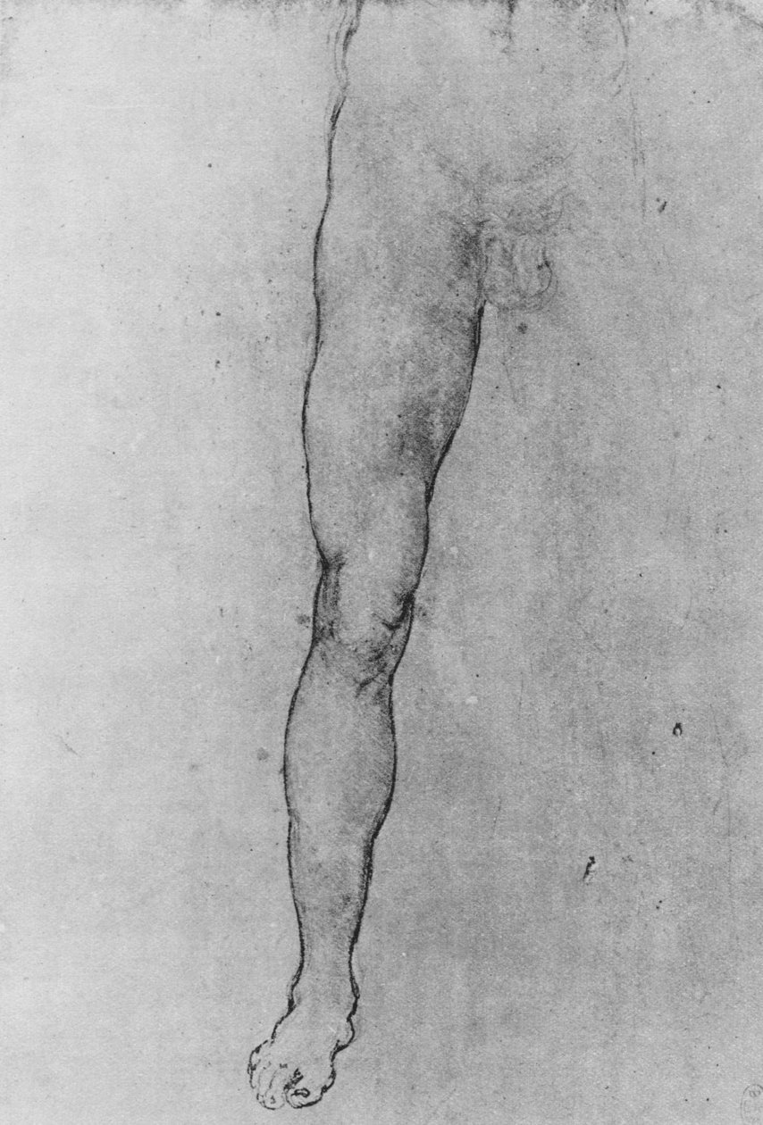 Estudo da metade inferior de um homem nu voltado para a frente, c1480 1945 de Leonardo da Vinci