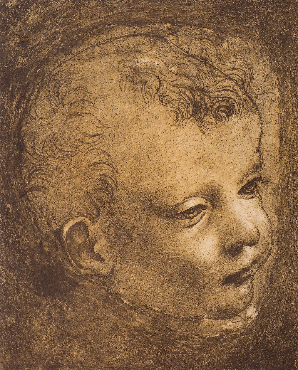 Estudo do rosto da criança São João para a Madonna das Rochas; desenho de Leonardo da Vinci. O louvre, paris de Leonardo da Vinci