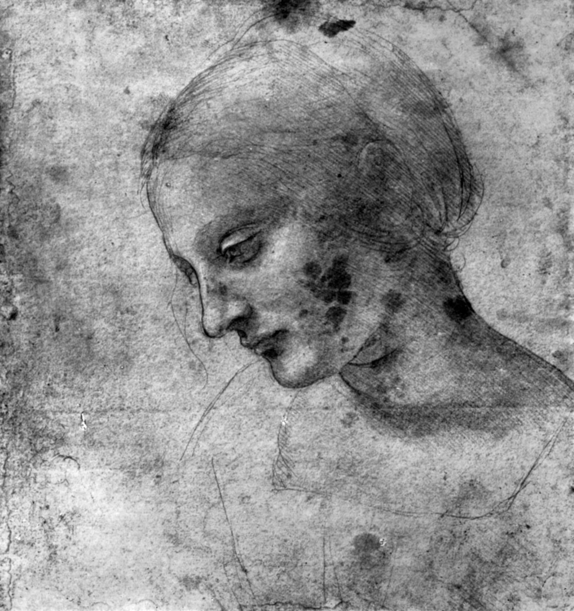 Estudo da cabeça da Madona, século XV, 1930. de Leonardo da Vinci