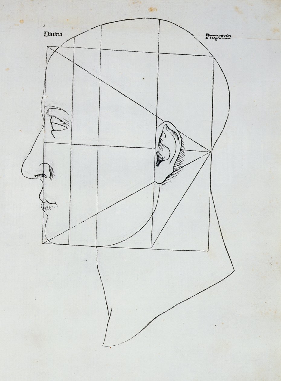 A cabeça humana, ilustração para &39;Divina Proportione&39; por Luca Pacioli (1445-1517), 1509 de Leonardo da Vinci