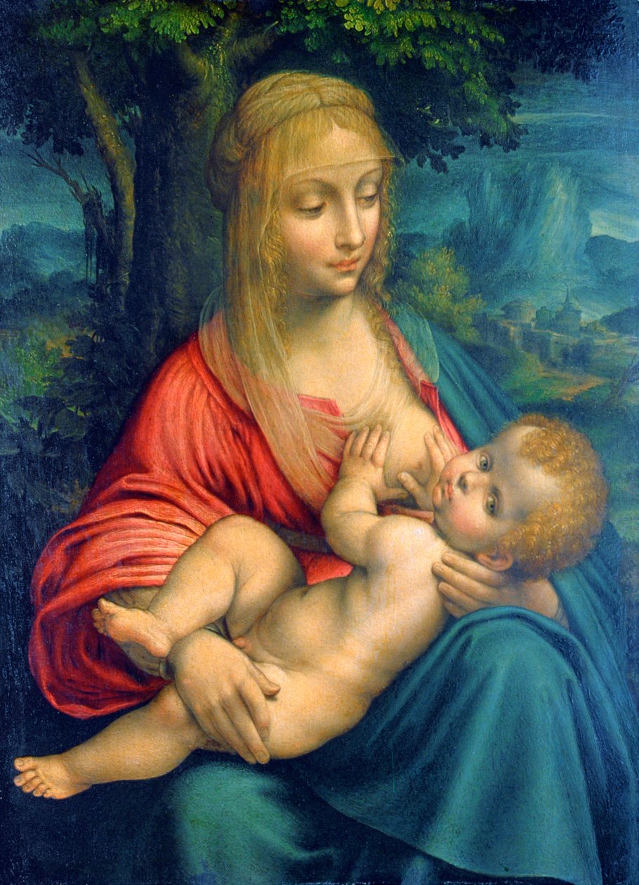 A Virgem e o Menino, c1511 de Leonardo da Vinci