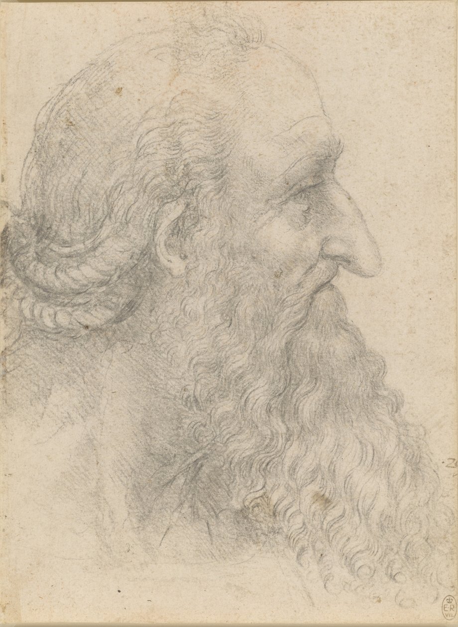 A cabeça de um velho barbudo, ca 1517. de Leonardo da Vinci