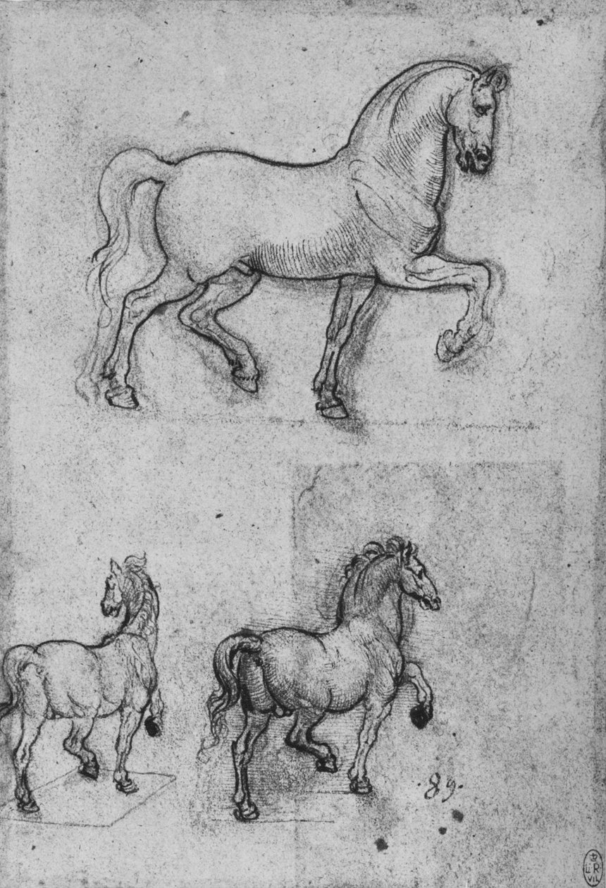 Três estudos sobre cavalos, c1480 1945 de Leonardo da Vinci