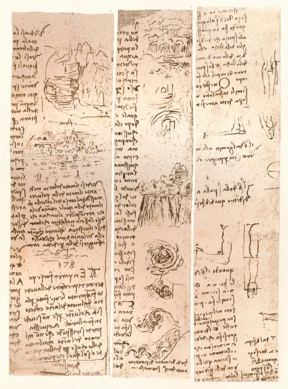 Três desenhos, c1472-c1519 1883 de Leonardo da Vinci