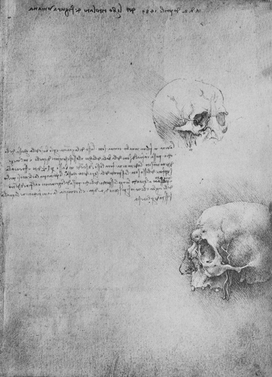 Dois desenhos da estrutura óssea da cabeça, c1480 1945 de Leonardo da Vinci