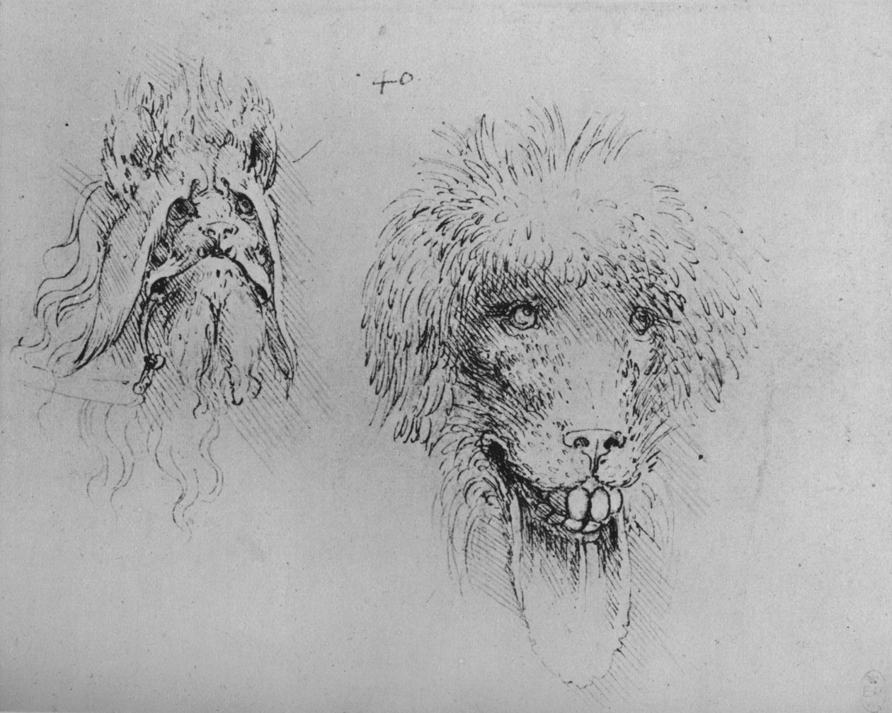 Duas cabeças de monstros, c1480 1945 de Leonardo da Vinci