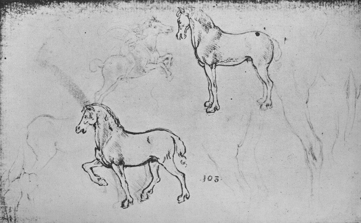 Dois estudos de cavalos, um de um cavaleiro galopante e outros de pernas de cavalo, c1480 1945 de Leonardo da Vinci