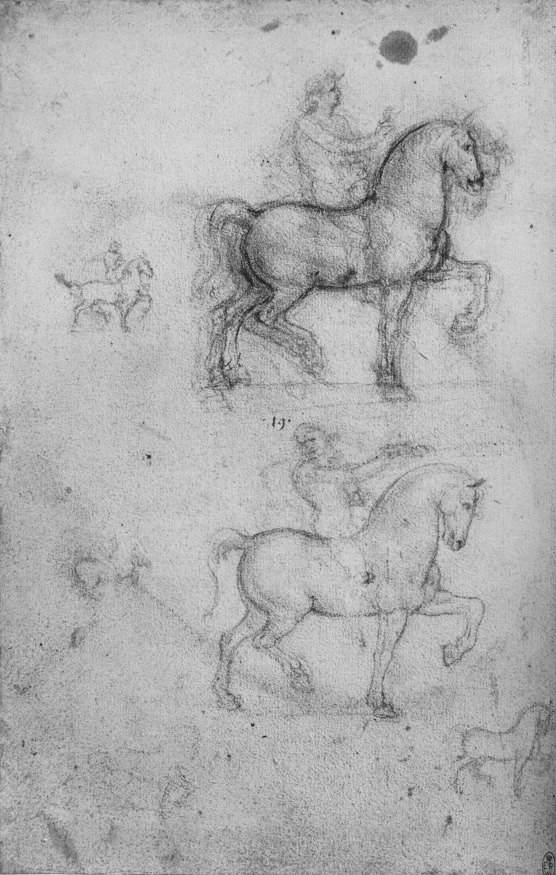 Dois estudos sobre cavalos e cavaleiros e estudos menores sobre cavalos, c1480 1945 de Leonardo da Vinci