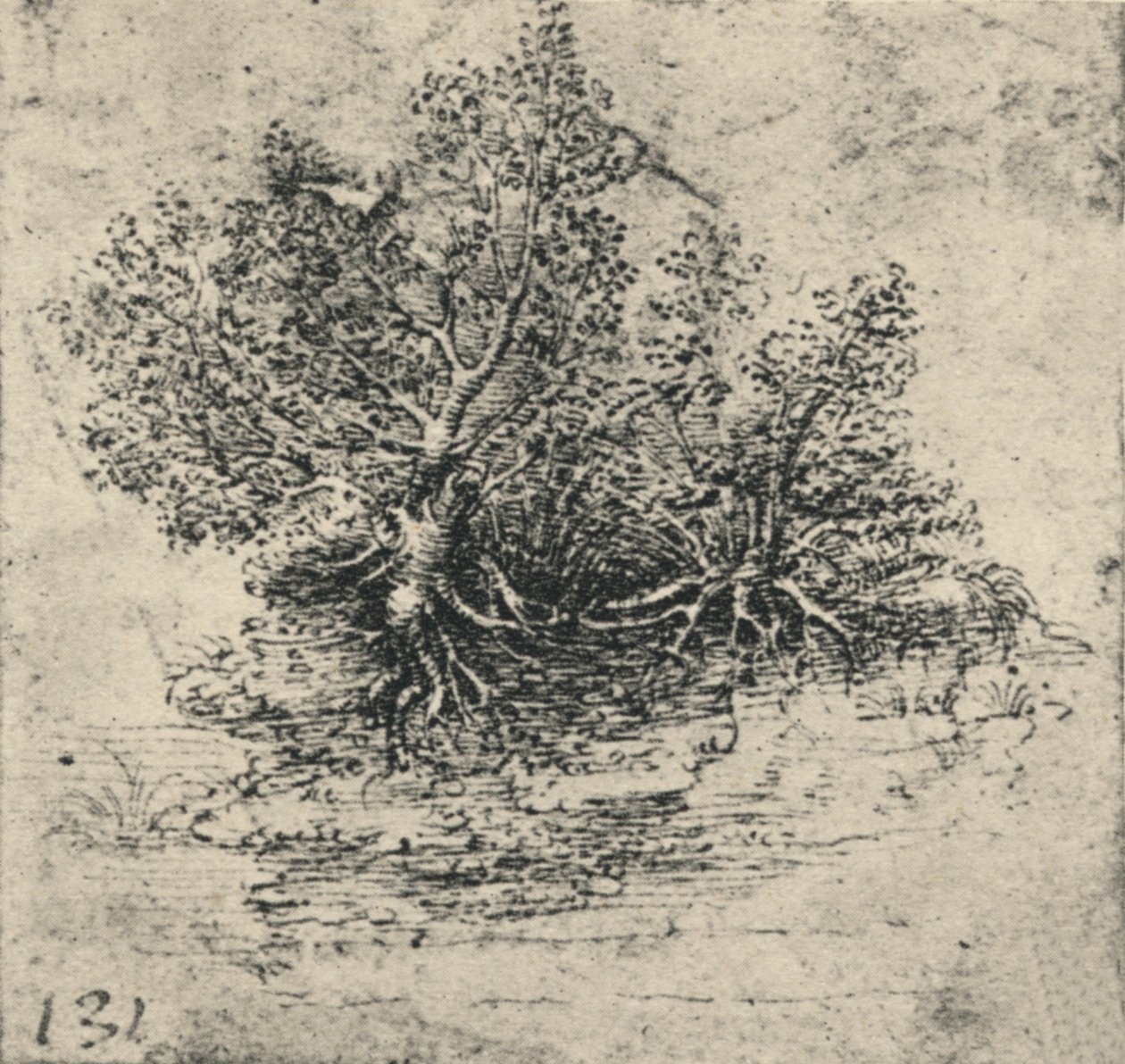 Duas árvores na margem de um riacho, c1480 1945 de Leonardo da Vinci