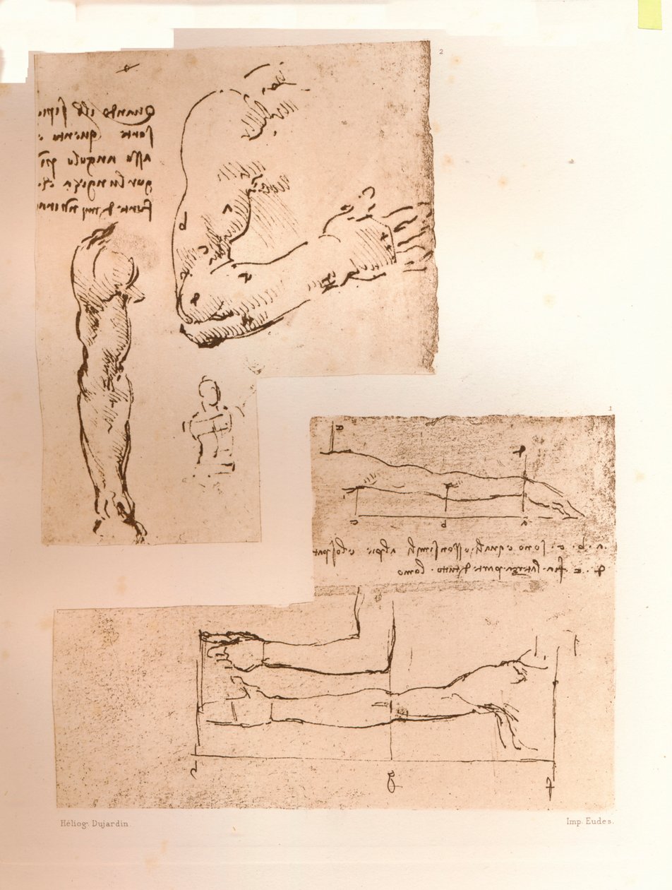 Dois desenhos ilustrando a teoria das proporções da figura humana, c1472-c1519 1883 de Leonardo da Vinci