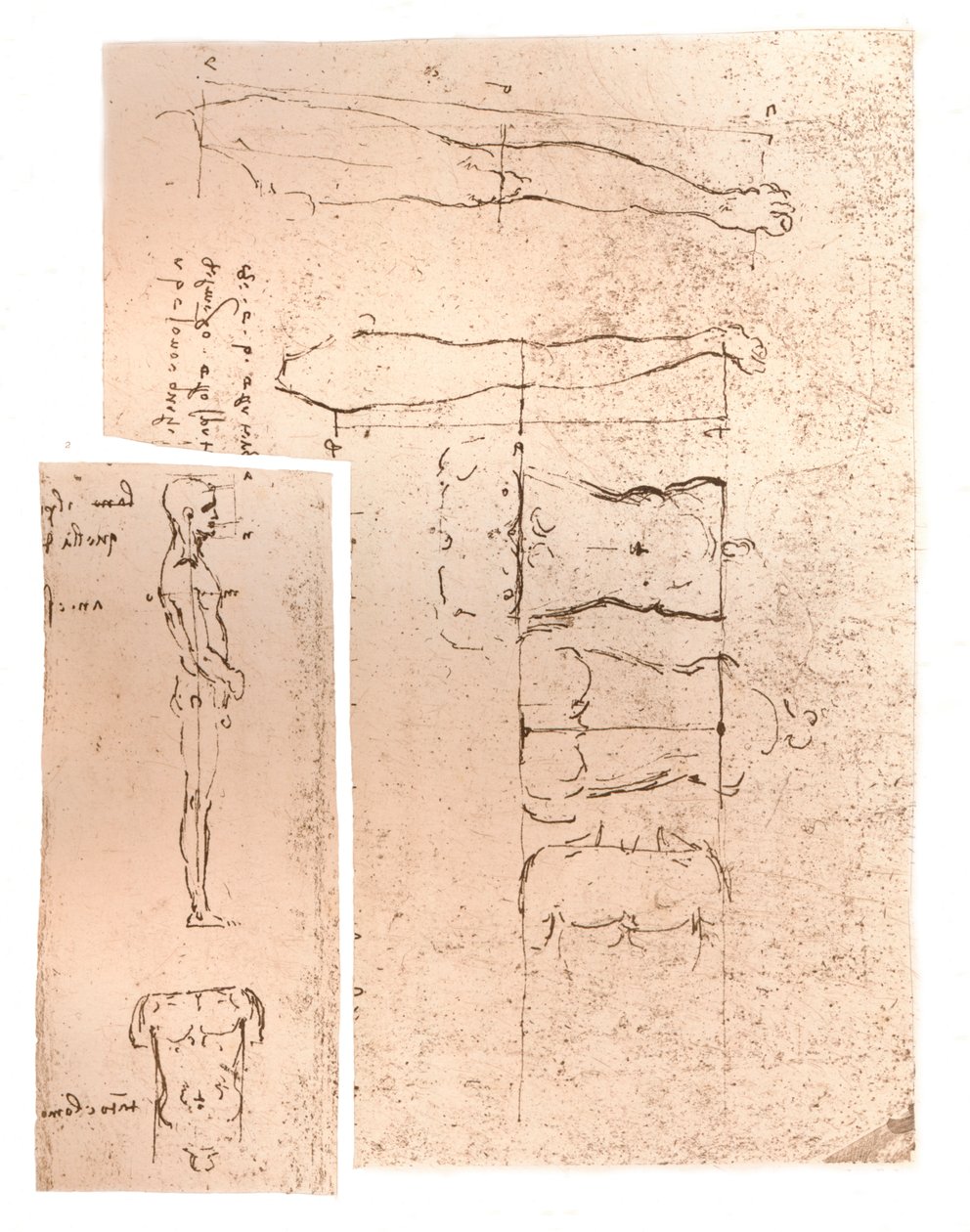 Dois desenhos ilustrando a teoria das proporções da figura humana, c1472-c1519 1883 de Leonardo da Vinci