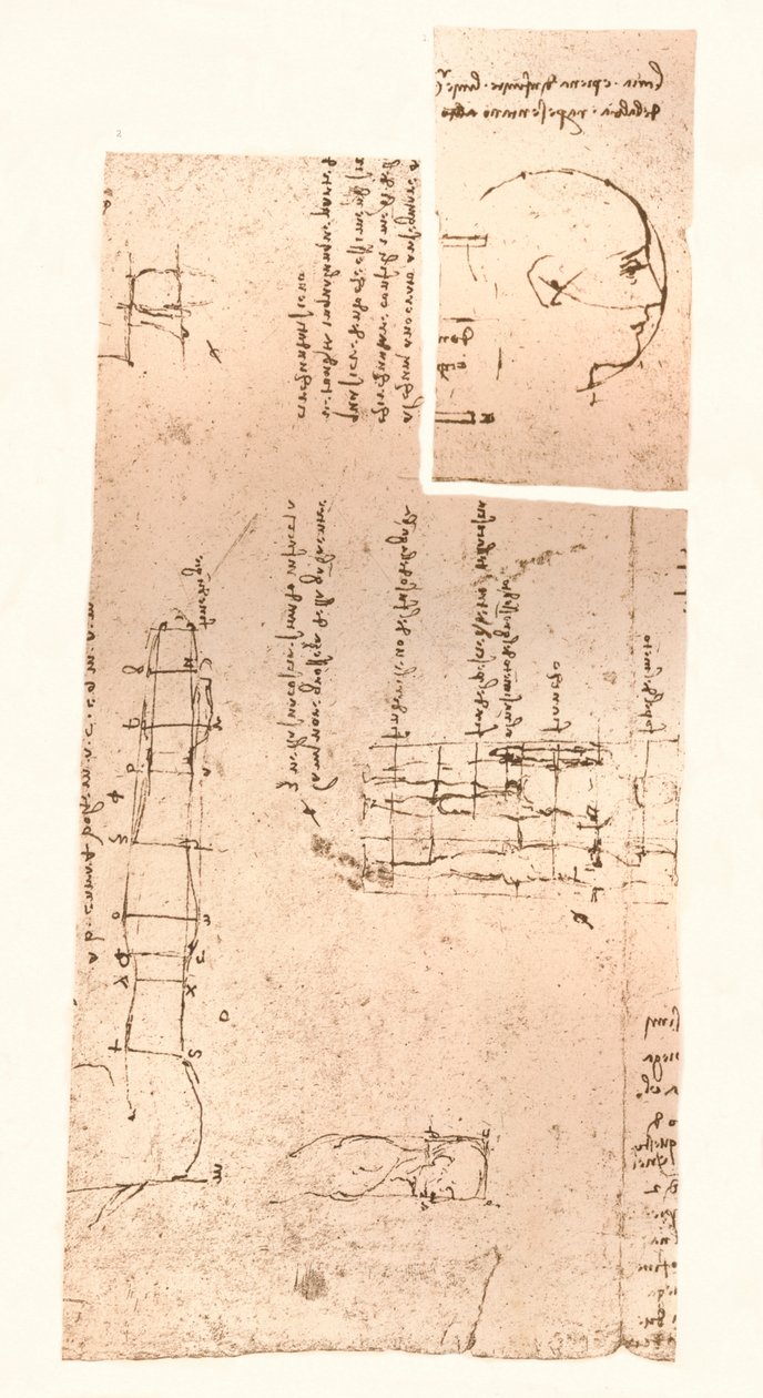 Dois desenhos ilustrando a teoria das proporções da figura humana, c1472-c1519 1883 de Leonardo da Vinci