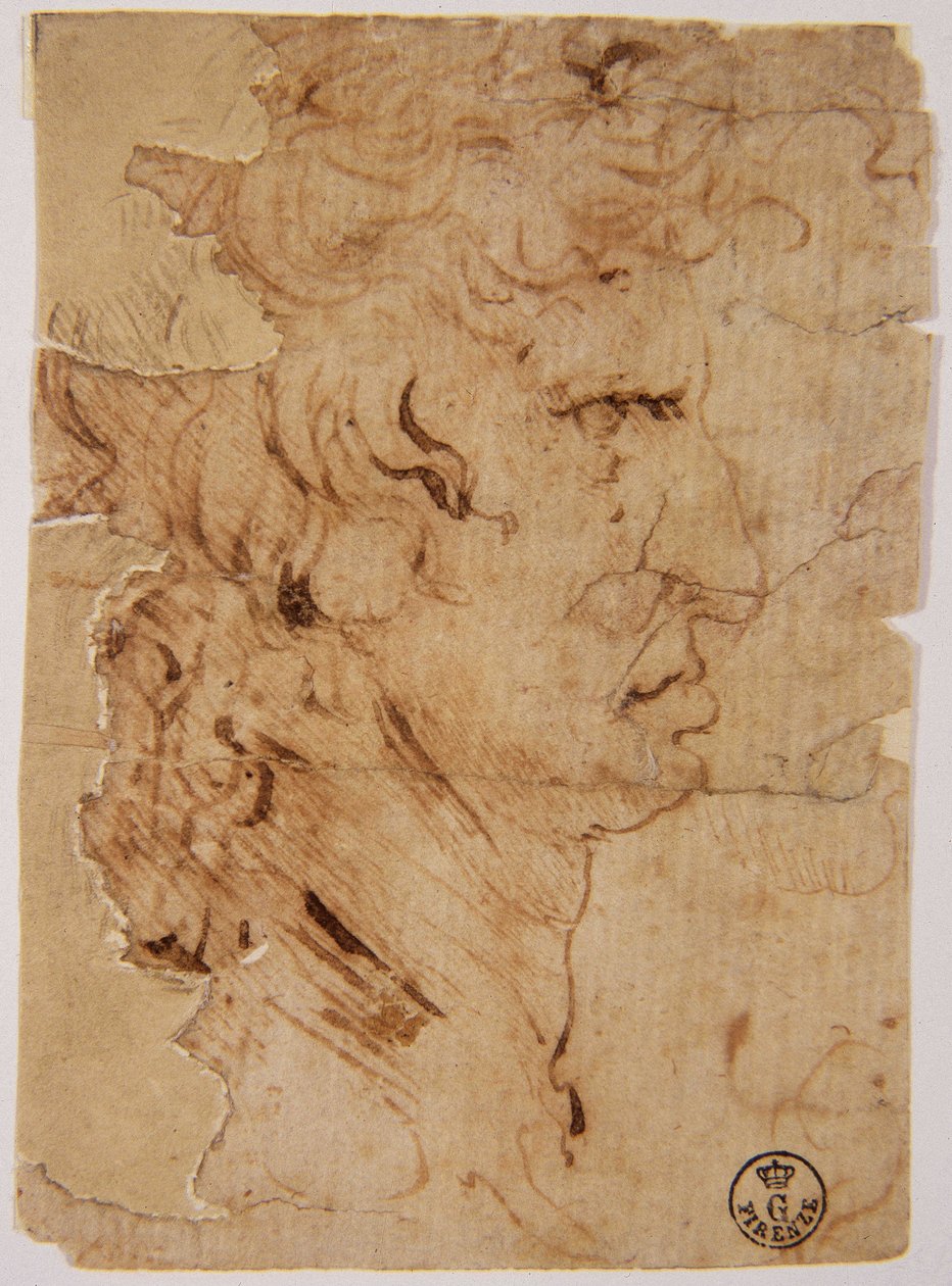 Imagem desconhecida de Leonardo da Vinci