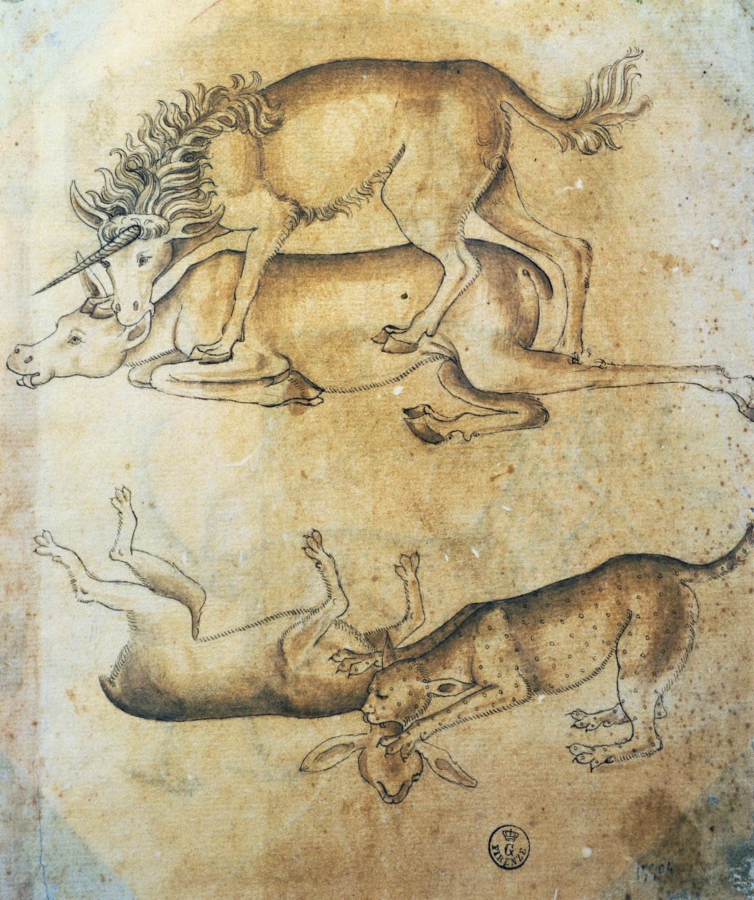 Unicórnio atacando uma vaca e leopardo atacando uma ovelha, estudo de animais, por Leonardo da Vinci (1452-1519), desenho de Leonardo da Vinci