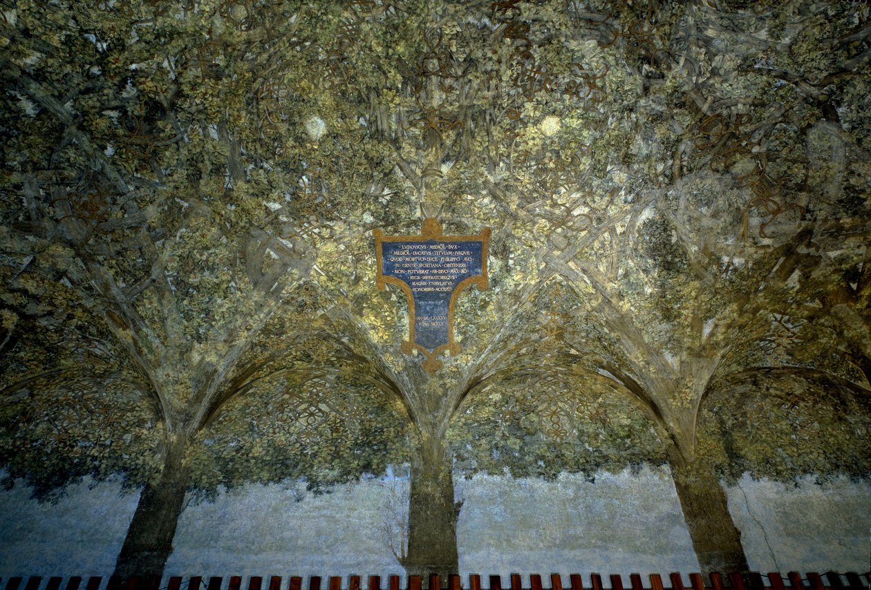 Entrelaçamento de legumes. Tempera na muralha por Leonardo da Vinci (1452-1519) (Leonard de Vinci) 1498 Sala delle Asse, Castello Sforzesco (Castelo dos Duques Sforza) Milão de Leonardo da Vinci