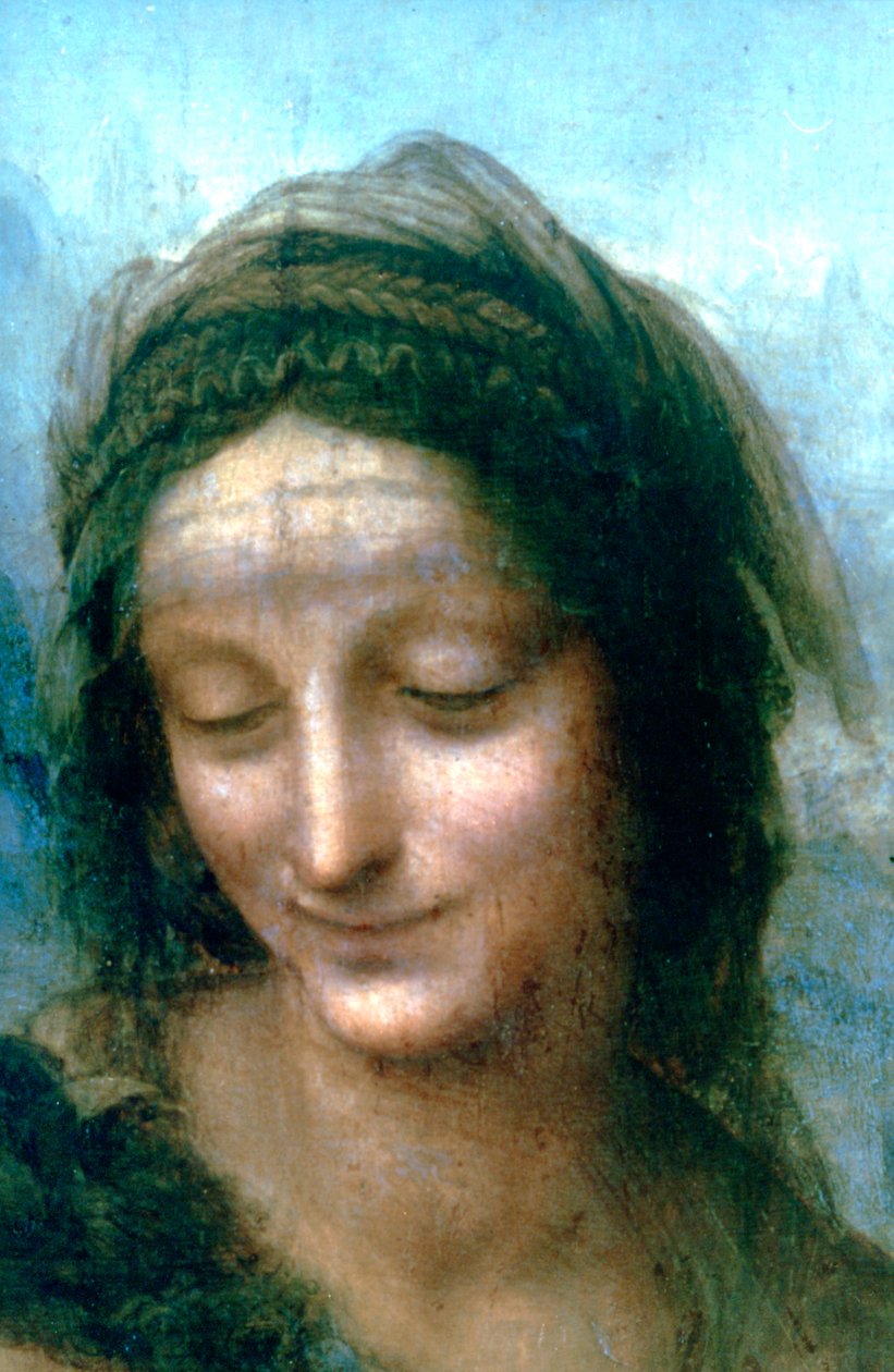 Virgem e Menino com detalhes de Santa Ana, 1502-1516 de Leonardo da Vinci