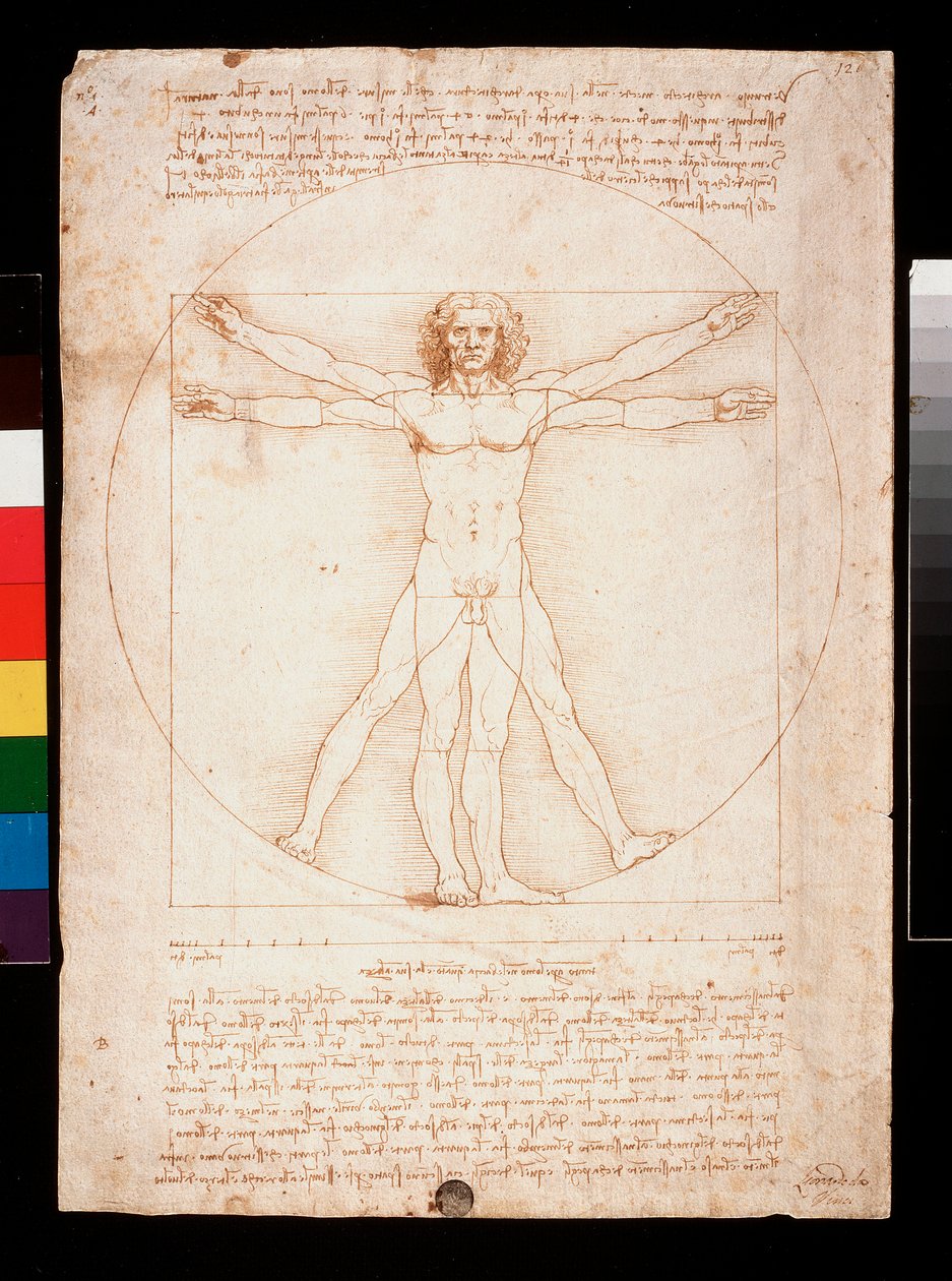 Homem Vitruviano de Leonardo da Vinci
