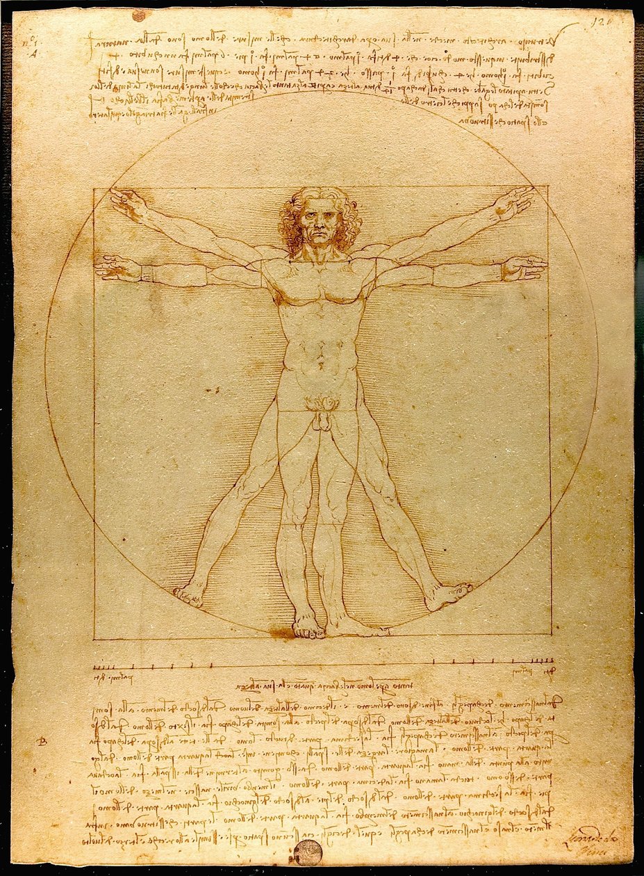 Homem Vitruviano de Leonardo da Vinci