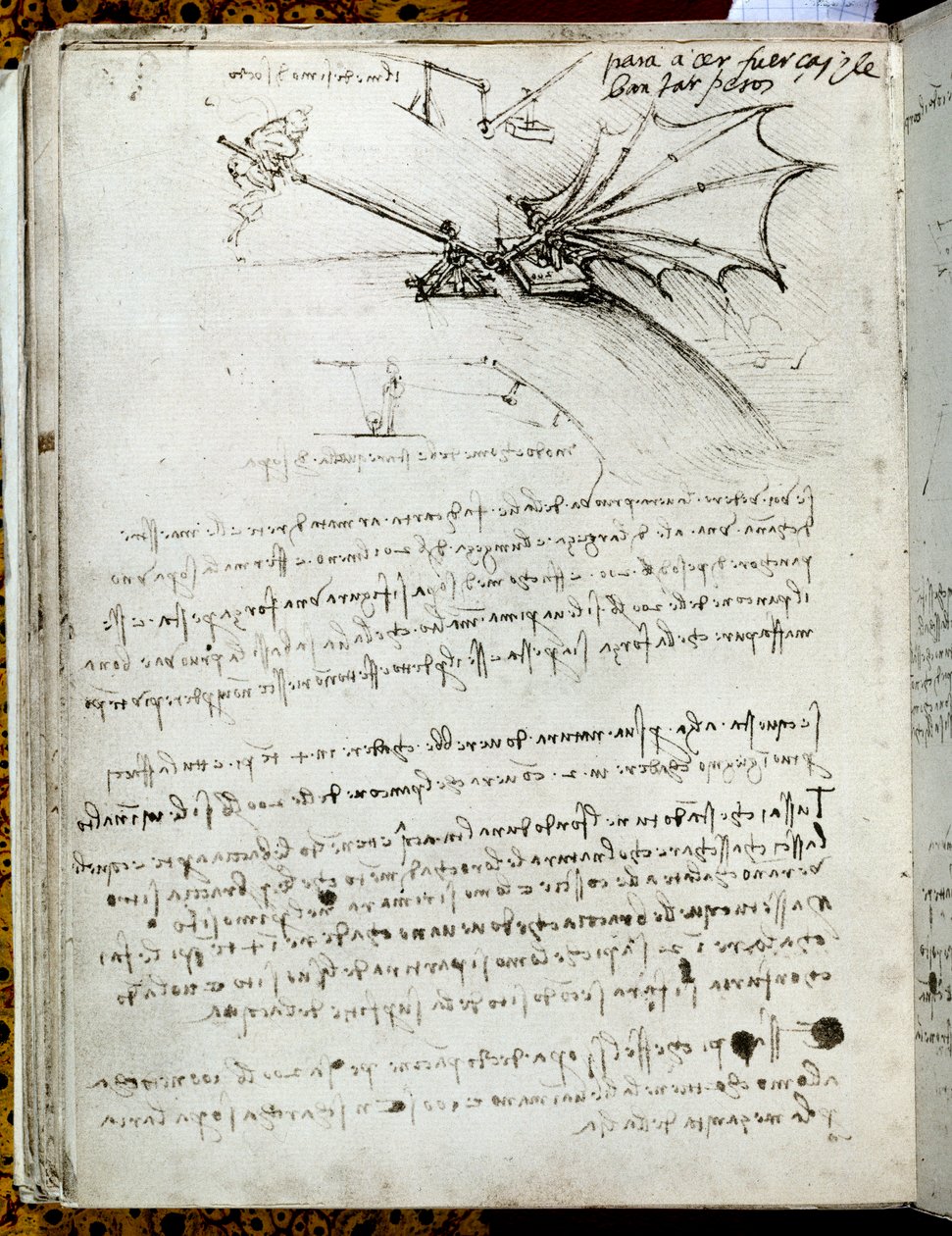 Treinamento da asa. Desenho da máquina voadora. Manuscrito de Leonard De Vinci (Leonardo da Vinci de Leonardo da Vinci