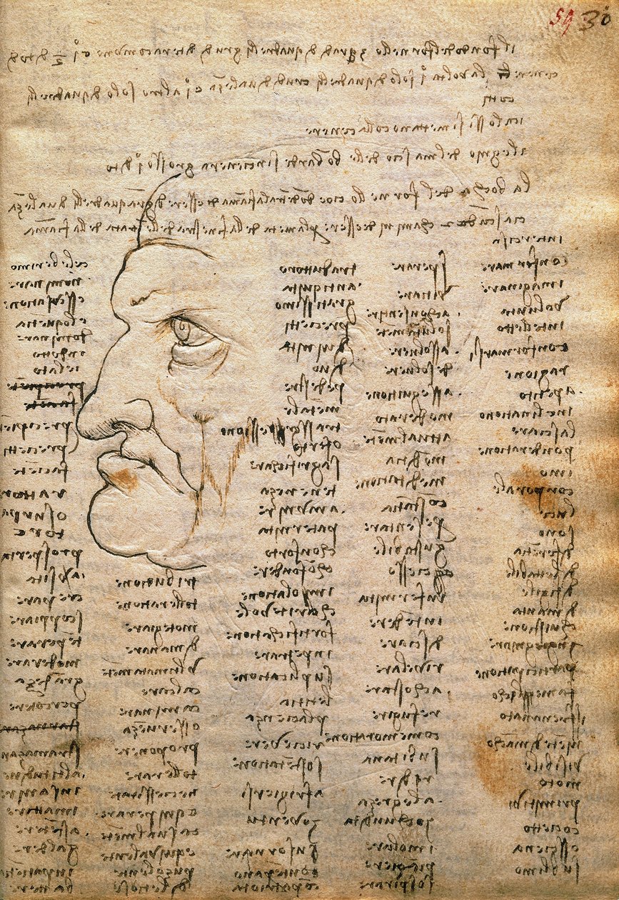 Lista de palavras e perfil masculino, do Codex Trivulzianus de Leonardo da Vinci
