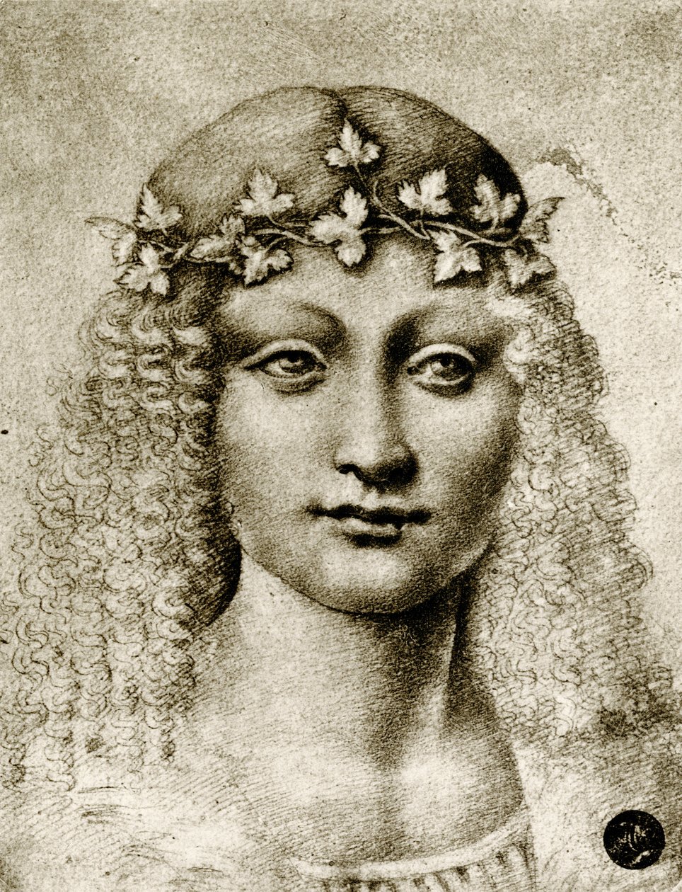 Cabeça de uma menina coroada de videira de Leonardo da school of Vinci