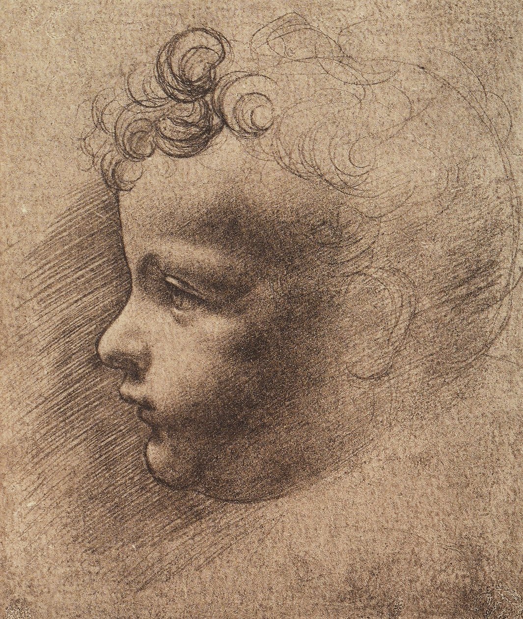 Cabeça de um menino pequeno; desenho de Leonardo da Vinci. O louvre, paris de Leonardo da school of Vinci