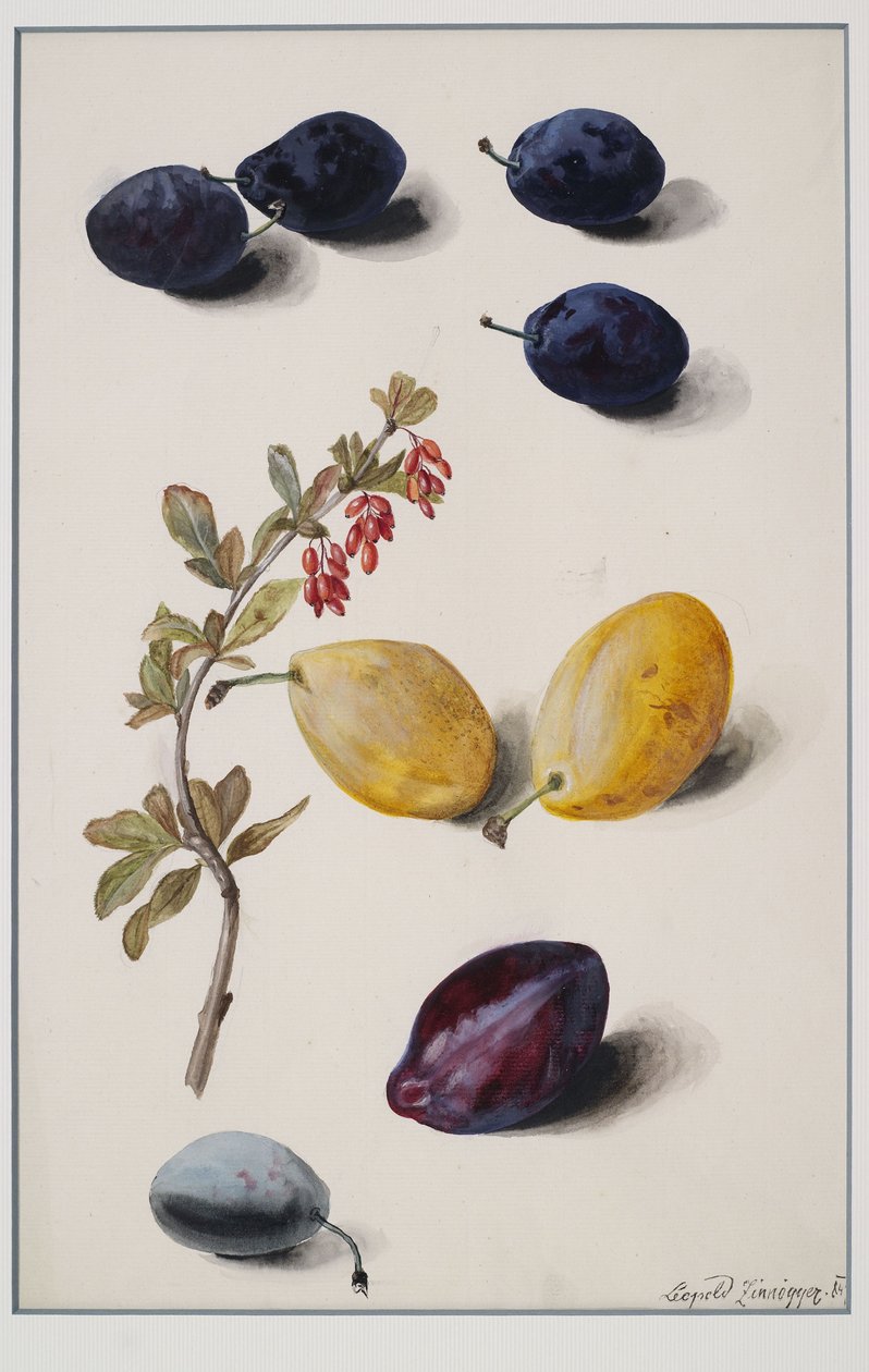 frutas de Leopold Zinnogger