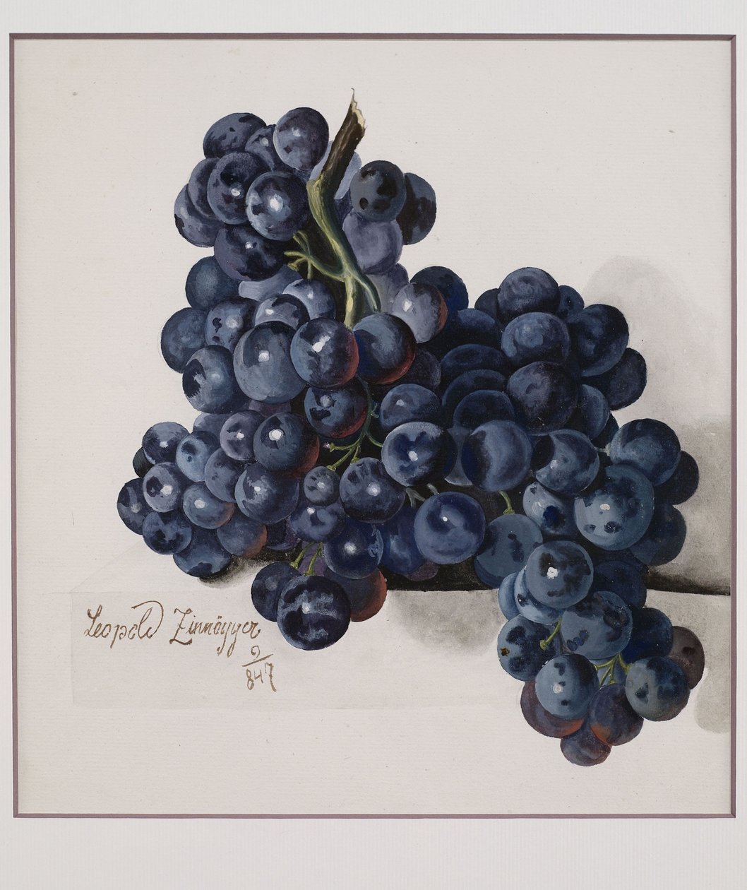 uvas de Leopold Zinnogger