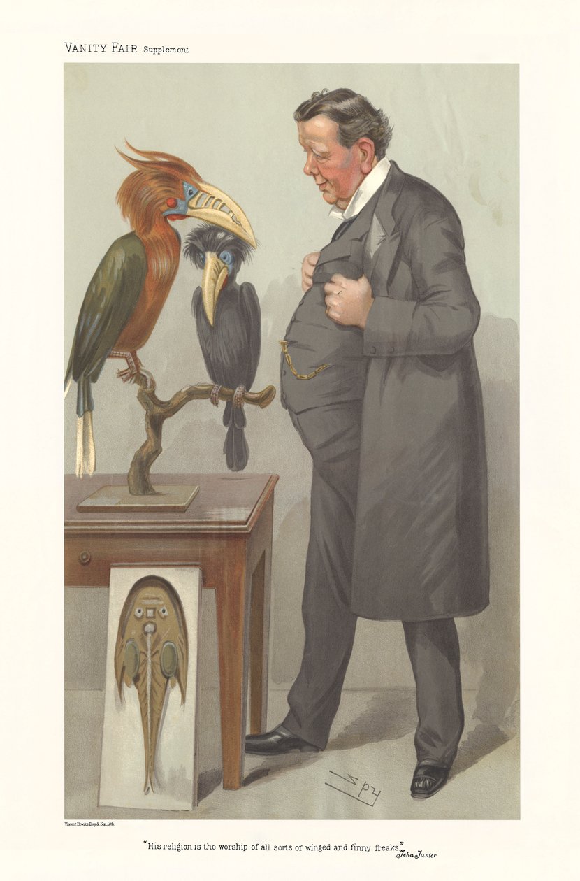 Professor Ray Lankester - retrato de pé e a olhar para aves de Leslie Matthew (1851 1922) Ward