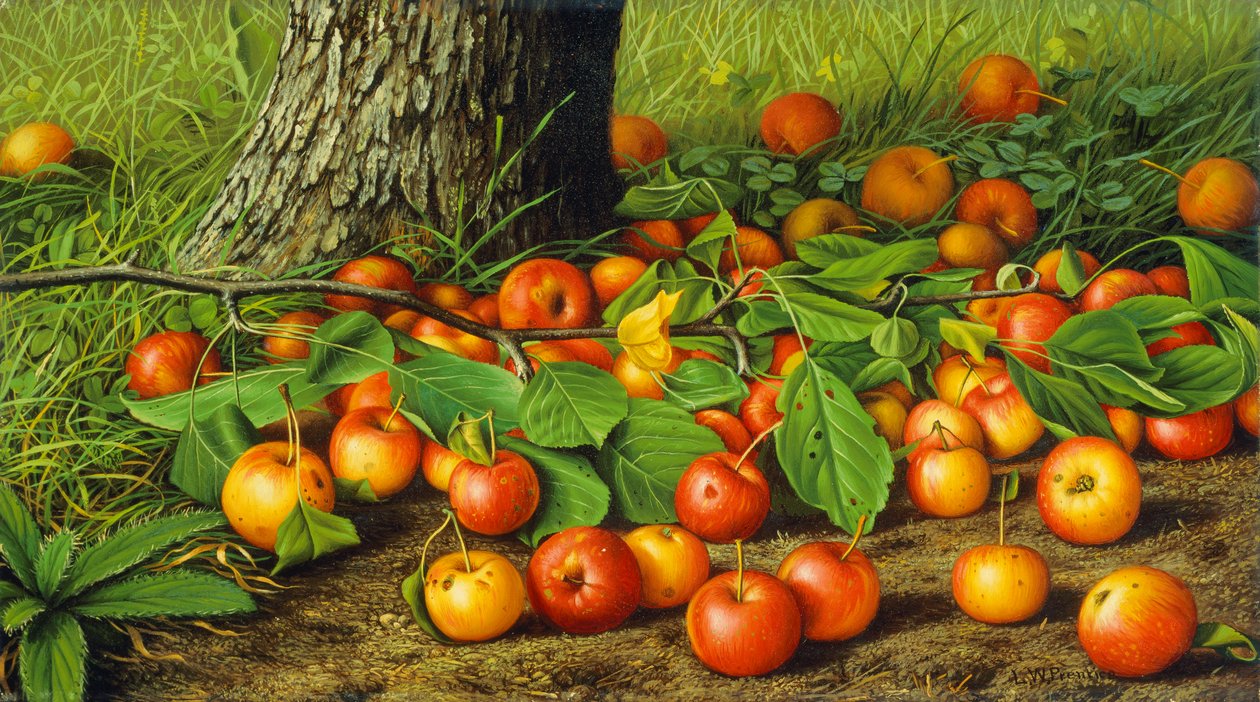 Natureza morta com maçãs por uma árvore (óleo sobre tela) de Levi Wells Prentice