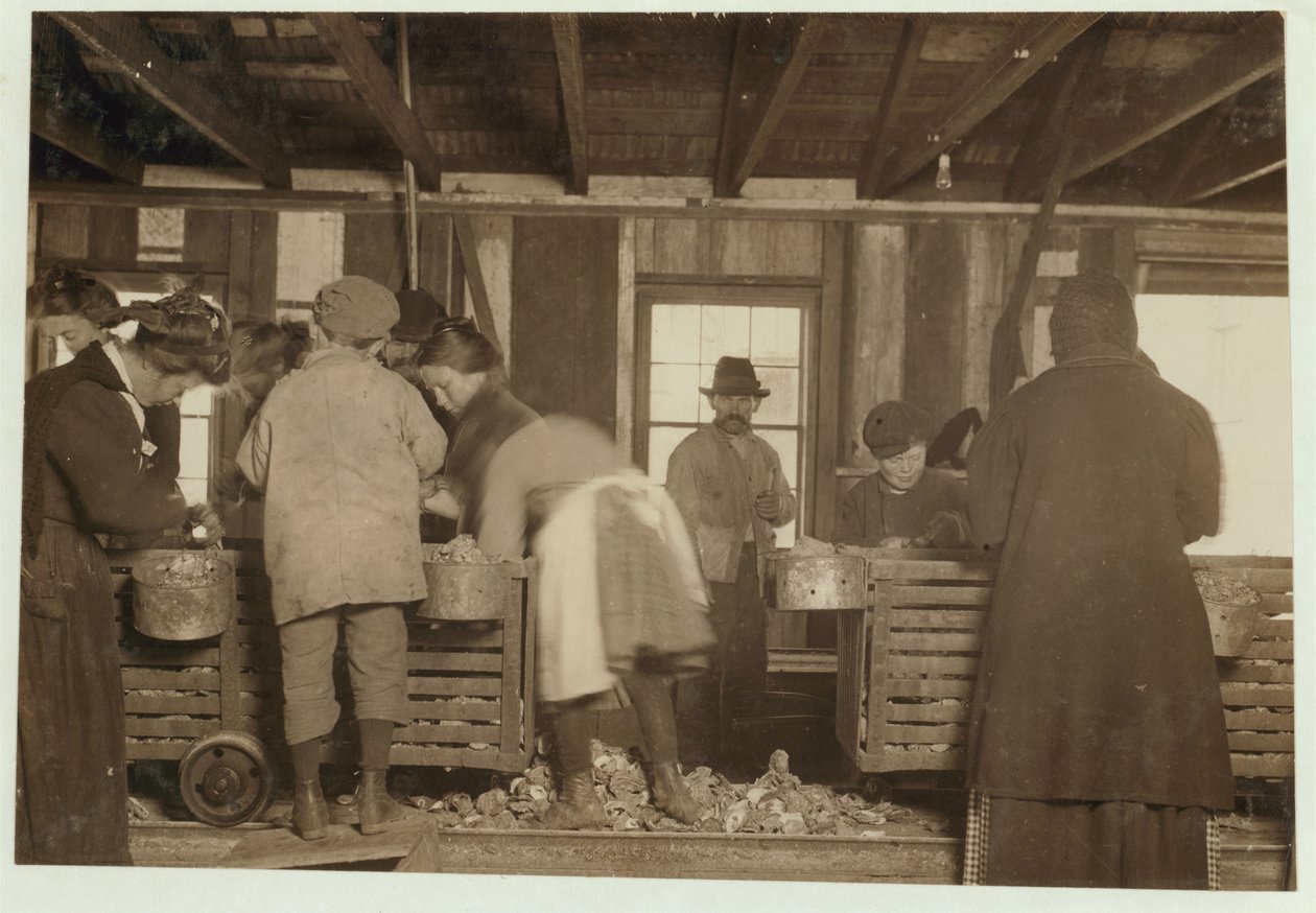 Mike Murphy, de 10 anos, Annie Healy, de 7 anos, e Ross Healy, de 10 anos (que trabalha há dois anos) no galpão Shear Alabama Co, Bayou La Batre, Alabama, 1911 de Lewis Wickes Hine