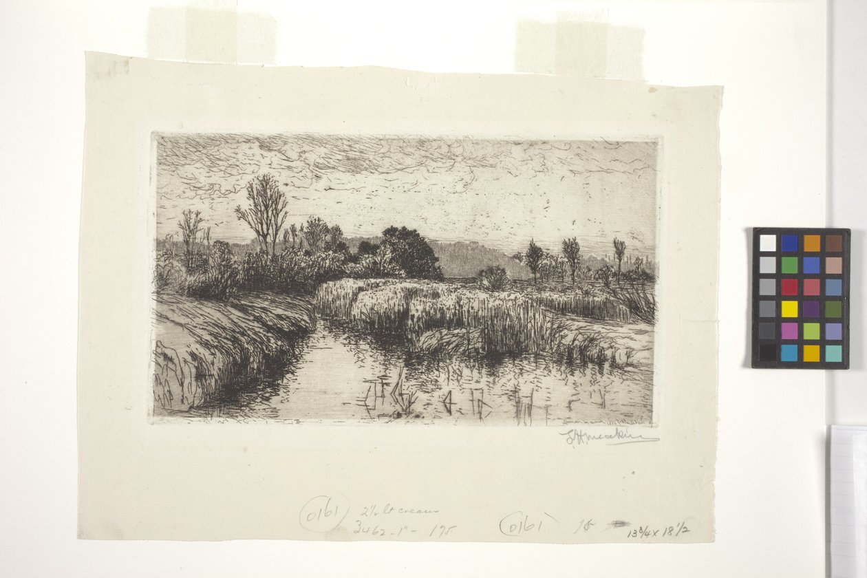 Tarde Em Março, Schleissheim, Baviera (gravura) de Lewis Henry Meakin