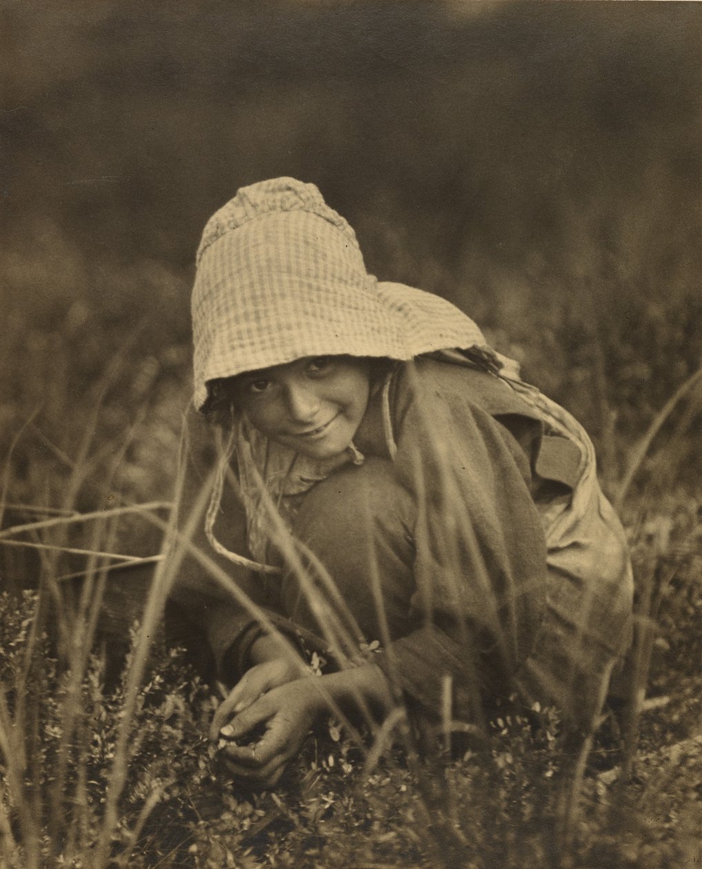 Apanhador de arando, Nova Jersey de Lewis W. Hine