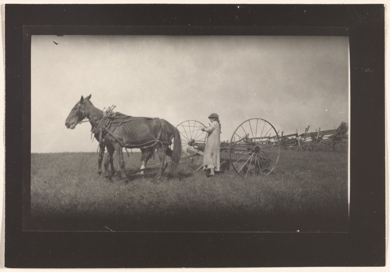 [Farm Scene, Massachusetts] de Lewis W. Hine