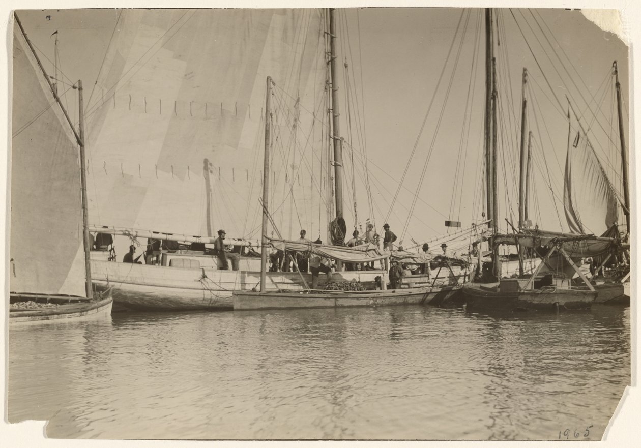 [Barcos de ostras, Baía de Mobile, Alabama] de Lewis W. Hine
