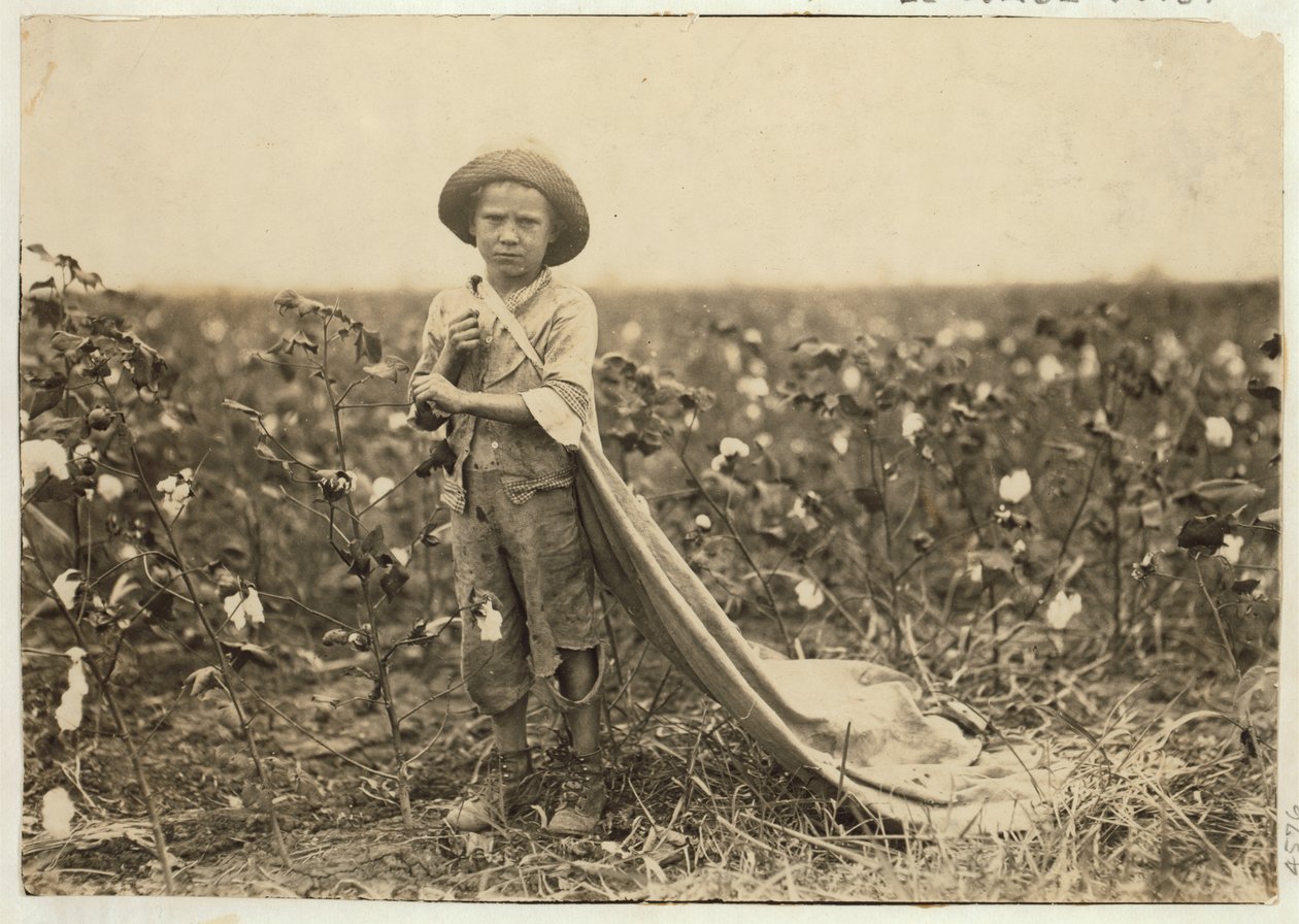 Warren Frakes, de 6 anos, com cerca de 20 libras de algodão em sua bolsa no Condado de Comanche, Oklahoma, 1916 de Lewis Wickes Hine