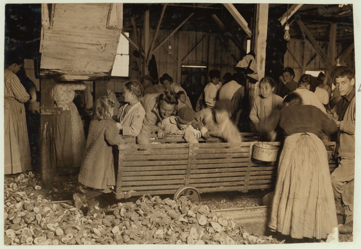 Bill May, de 5 anos que ganha 15 centavos por dia, no galpão da Barataria Canning Company, Biloxi, Mississippi, 1911 de Lewis Wickes Hine