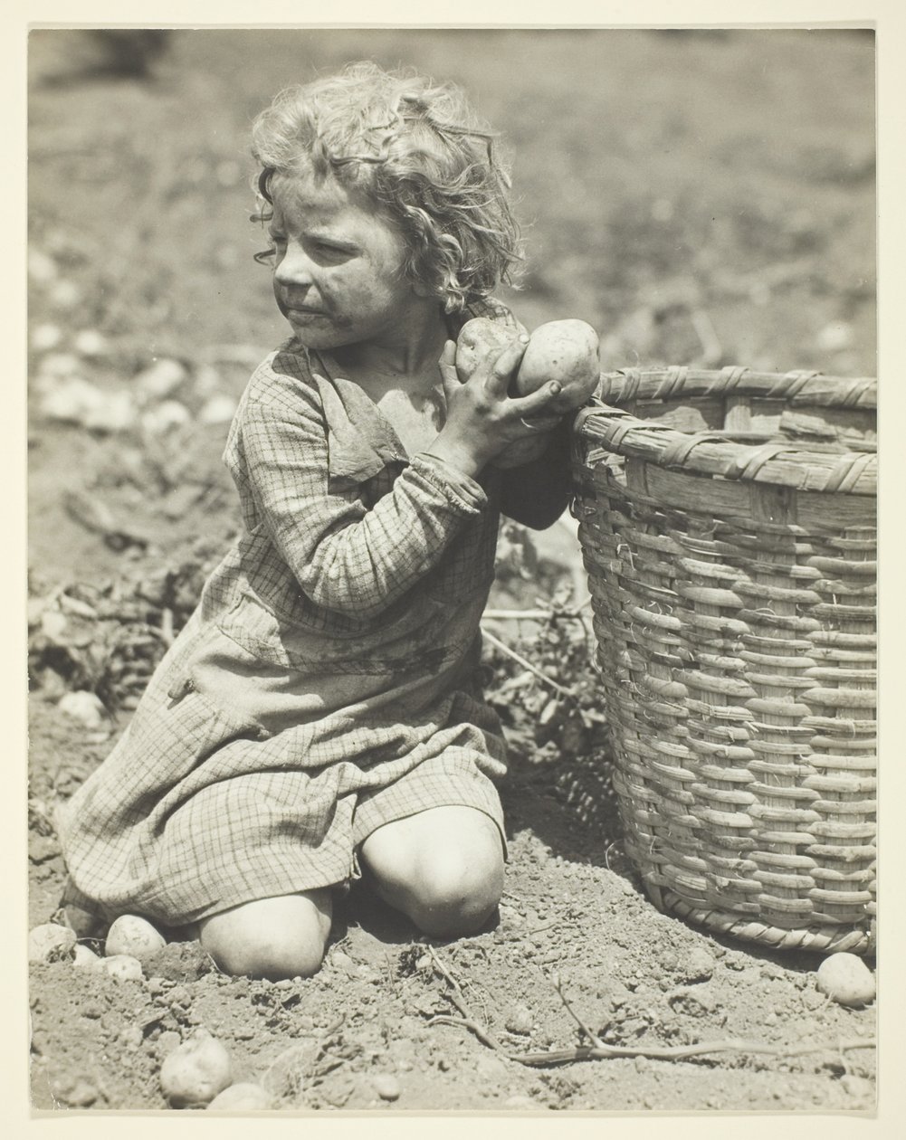 Trabalho infantil na quinta de Lewis Wickes Hine