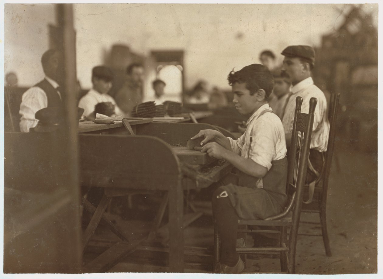 Aprendiz de criança na fábrica de charutos De Pedro Casellas, Tampa, Flórida, 1909 de Lewis Wickes Hine