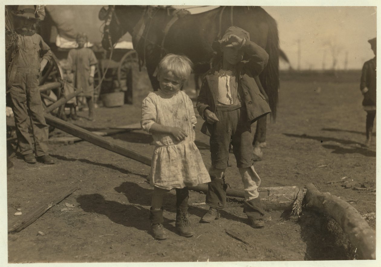 Apanhador de algodão com 4 anos de idade que escolhe 15 libras por dia regularmente e 7 anos de idade que escolhe 50. Eles se mudam de fazenda para fazenda e vivem em vagões de emigrantes, McKinney, Texas, 1913 de Lewis Wickes Hine