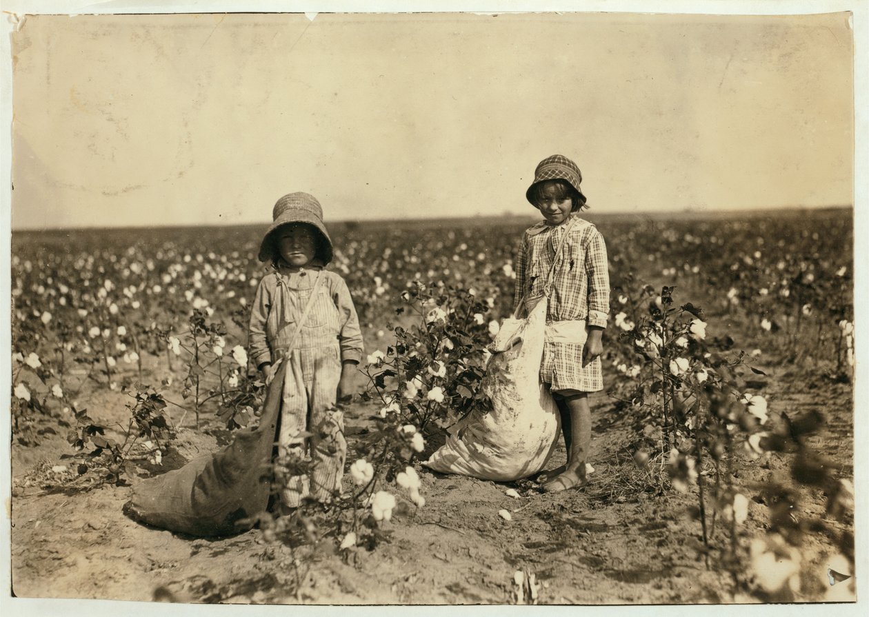 Jewel e Harold Walker, 6 e 5 anos, escolhem entre 20 e 25 libras de algodão por dia em Geronimo, Condado de Comanche, Oklahoma, 1916 de Lewis Wickes Hine