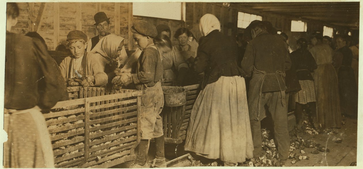 Johnnie, shucker de ostra com 9 anos de idade, assistido pelo chefe (com cano) do galpão shearing em Dunbar, Louisiana, 1911 de Lewis Wickes Hine