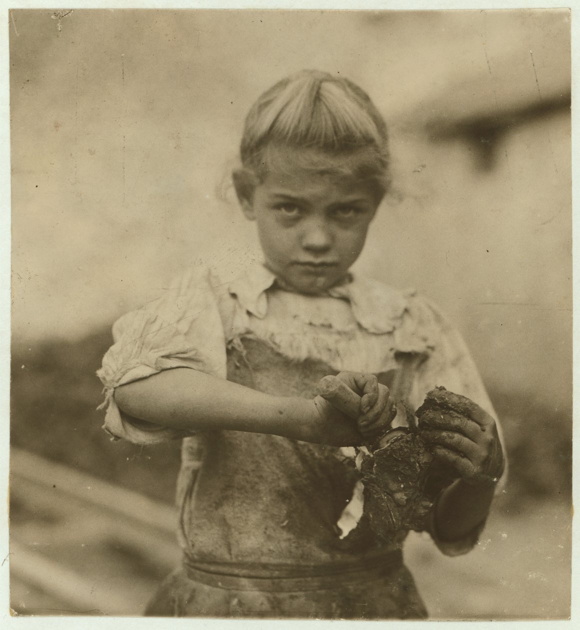 Rosie, de 7 anos, analfabeta, trabalhando pelo segundo ano como shucker de ostras em Varn e Platt Canning Company, Bluffton, Carolina do Sul, 1913 de Lewis Wickes Hine