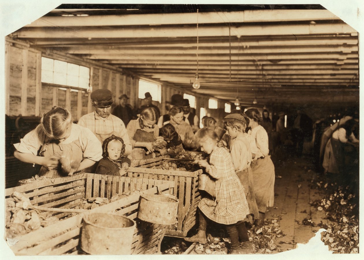 Rosy, de 8 anos, trabalha 14 horas por dia como shucker de ostras em Dunbar Cannery, Louisiana, 1911 de Lewis Wickes Hine