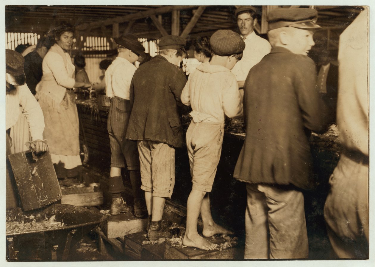 Catadores de camarão, incluindo Max, de 8 anos, em Dunbar, Lopez, Dukate Co, Biloxi, Mississippi, 1911 de Lewis Wickes Hine