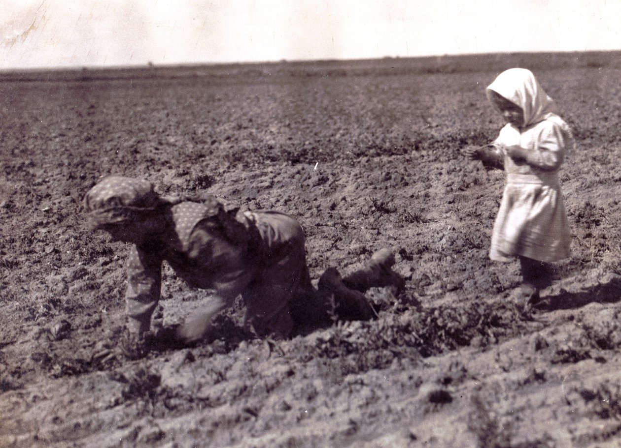 Imagem desconhecida de Lewis Wickes Hine