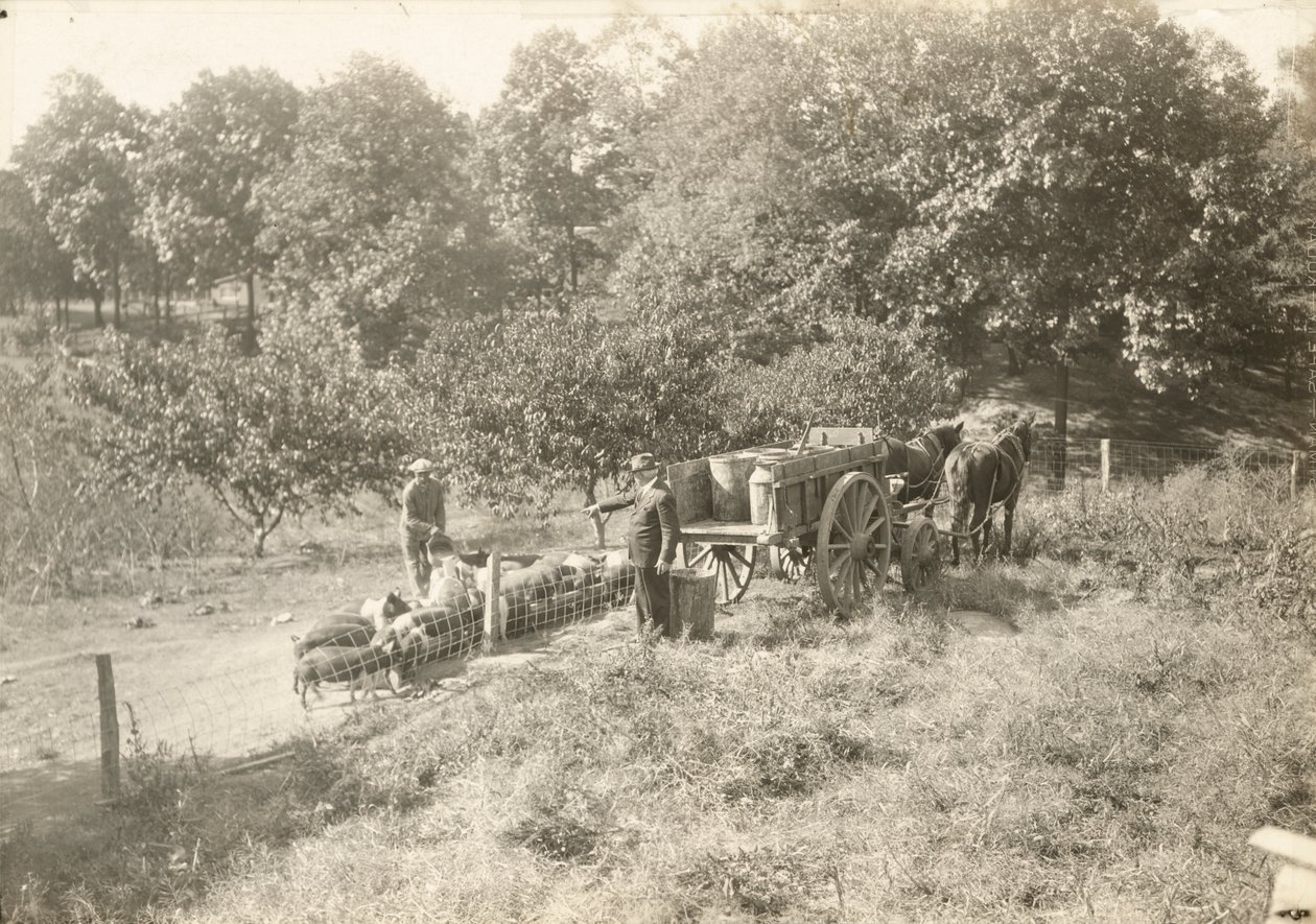 Sem título, ca. 1935. de Lewis Wickes Hine