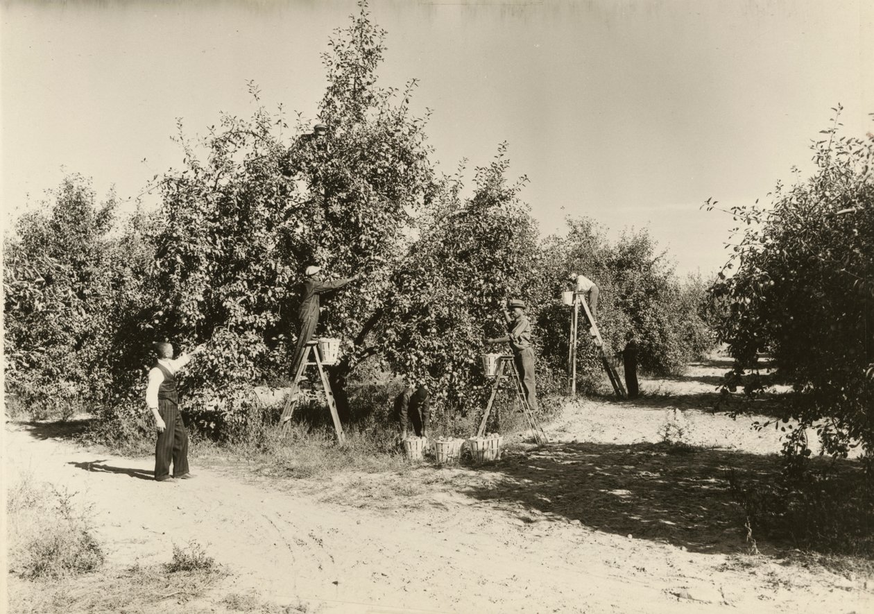 Sem título, ca. 1935. de Lewis Wickes Hine
